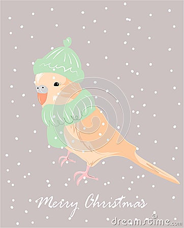 Winter paysageChristmas poster design with vector parrot in scarf and hat. Vector Illustration